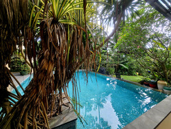 Toh Estate (D17), Detached #453946651